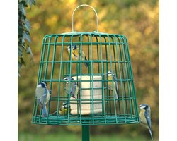 CJ Wildlife Voedersilo met Beschermkooi voor Vetbollen, Vetblokken & Pindacake - Metalen Vogelvoedersilo voor Kleine Vogels - Hangend Vogelvoederhuisje - Groen