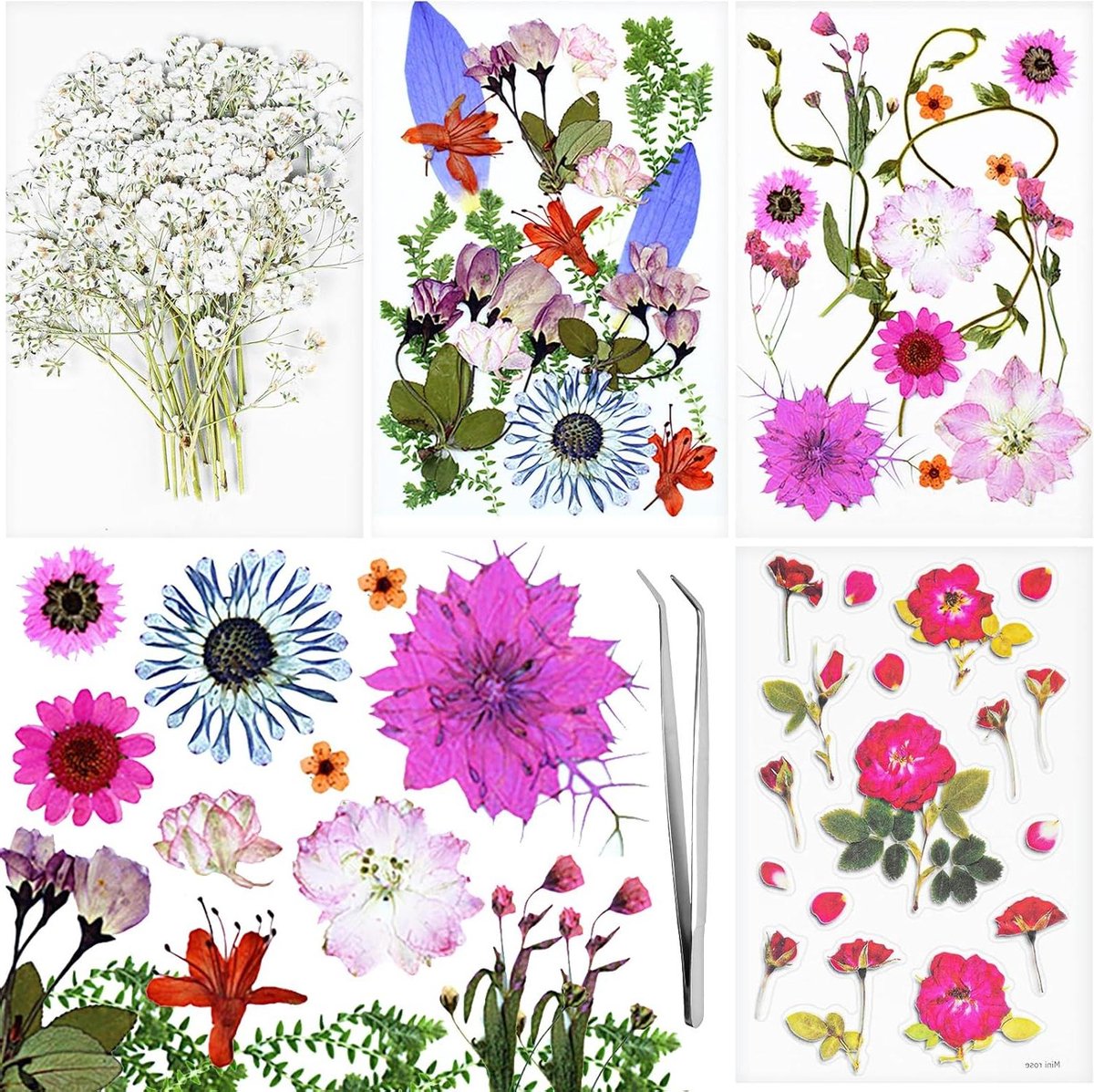 Natuurlijk Gedroogde Bloemen - Gypsophila Bloemen - Hars Nail Art - DIY Knutselen - Set Droogbloemen met Pincet - Geperste Bloemen - Sticker Roos - Plakboeken - Kaars