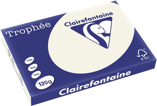 Clairefontaine Trophée Pastel A3 parelgrijs 120 g 250 vel