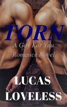 Torn: A Gay For You Romance Novel