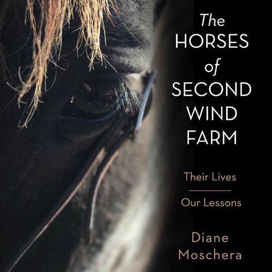 The Horses of Second Wind Farm - cover