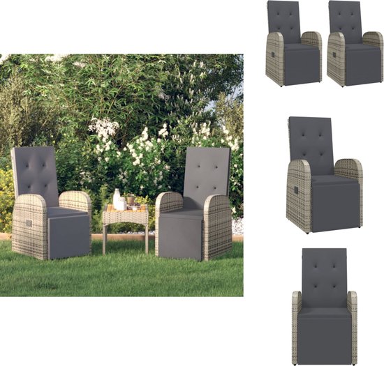 vidaXL - Kunststof - Tuinstoelen inklapbaar 2 st HDPE en staal bruin - TLS44551