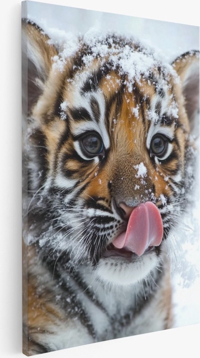 Saammp Canvas Schilderij - Tijger welp in de sneeuw - Dieren - Natuur - 30x40 - Foto op canvas - Wanddecoratie - Muurdecoratie Woonkamer - Slaapkamer decoratie - Canvas Print Multicolor