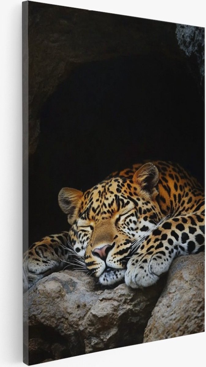 Saammp Canvas Schilderij - Slapende Luipaard - Dieren - Natuur - 75x100 - Foto op canvas - Wanddecoratie - Muurdecoratie Woonkamer - Slaapkamer decoratie - Canvas Print Multicolor