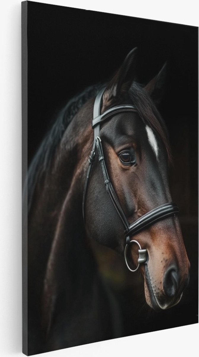 Saammp Canvas Schilderij - Paard - Portret - Manen - Natuur - Dieren - 75x100 - Foto op canvas - Wanddecoratie - Muurdecoratie Woonkamer - Slaapkamer decoratie - Canvas Print Multicolor