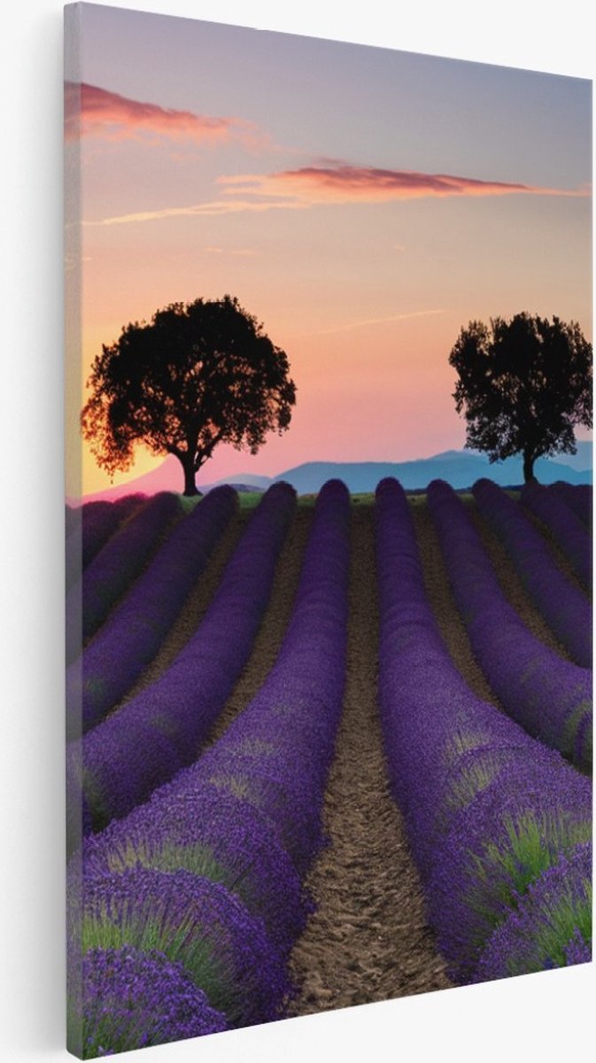 Saammp Canvas Schilderij - Kleurrijk Lavendelveld met bomen - Natuur - Landschap - 100x150 - Foto op canvas - Wanddecoratie - Muurdecoratie Woonkamer - Slaapkamer decoratie - Canvas Print Multicolor