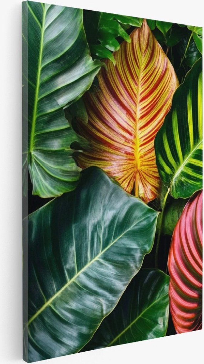 Saammp Canvas Schilderij - Kleurrijke bladeren - Natuur - Landschap - 80x120 - Foto op canvas - Wanddecoratie - Muurdecoratie Woonkamer - Slaapkamer decoratie - Canvas Print Multicolor