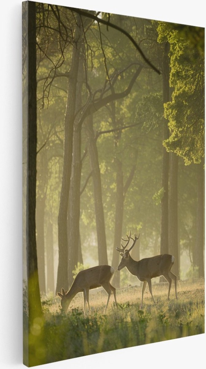 Saammp Canvas Schilderij - 2 Herten in het bos - Dieren - Landschap - Natuur - 80x120 - Foto op canvas - Wanddecoratie - Muurdecoratie Woonkamer - Slaapkamer decoratie - Canvas Print Multicolor