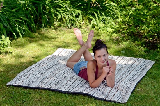vidaXL Picknickkleed met haringen 205x155 cm blauw kampeerdeken picknickmat