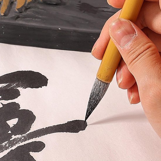 10 Stuks Chinese Kalligrafie Penselen voor Beginners, Kalligrafie Sumi