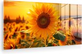 MuchoWow® Glasschilderij 120x60 cm - Schilderij acrylglas - Zonnebloem - Bloemen - Geel - Bloemenveld met zonnebloemen - Foto op glas - Muurdecoratie woonkamer - Wanddecoratie slaapkamer - Schilderijen
