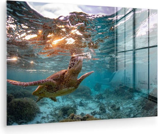 Peinture sur Verre - Mer - Tortue - Couleurs - 180x120 cm - Peintures sur Verre Peintures - Photo sur Glas