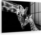Glasschilderij - Foto op glas - Wilde dieren - Giraffe - Familie - Zwart - Wit - Acrylglas - 120x80 cm - Glasschilderij giraffe - Wanddecoratie dieren - Schilderij glas