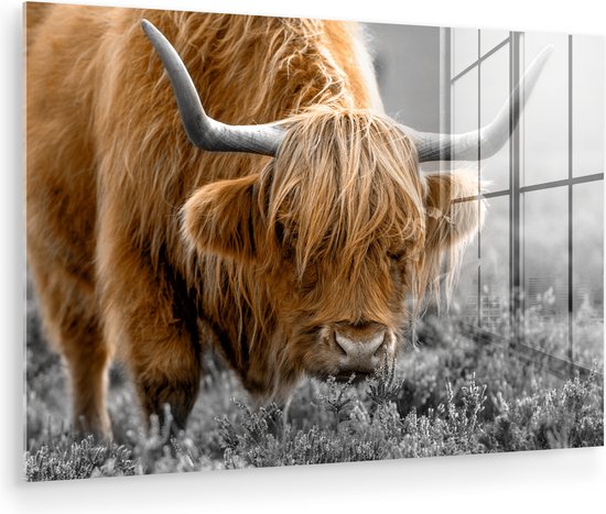 MuchoWow® Peinture sur verre 120x80 cm - Peinture sur verre acrylique - Highlander écossais - Animaux - Marron - Vache - Zwart - Wit - Nature - Photo sur verre - Peintures
