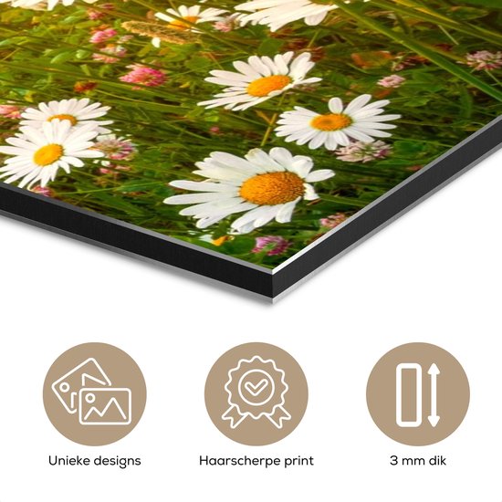 Décoration murale Métal - Peinture Aluminium Industrielle - Fleurs - Marguerite - Nature - Soleil - Horizon - 80x160 cm - Dibond - Photo sur aluminium - Décoration murale industrielle - Pour le salon / chambre