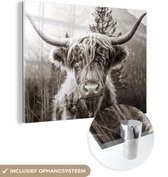MuchoWow® Tableau sur verre 40x30 cm - Tableau acrylique sur verre - Highlander écossais - Vache - Animaux - Zwart - Wit - Photo sur verre - Décoration murale salon - Décoration murale chambre - Peintures