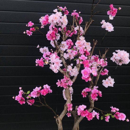 Blossom mini - 50cm - Roze Boom - Kunstboom - Seta Fiori