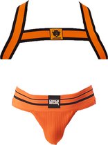 Barcode Berlin Multipack 1x Jockstrap Andreus + 1x Harnais Colin Orange-Noir
