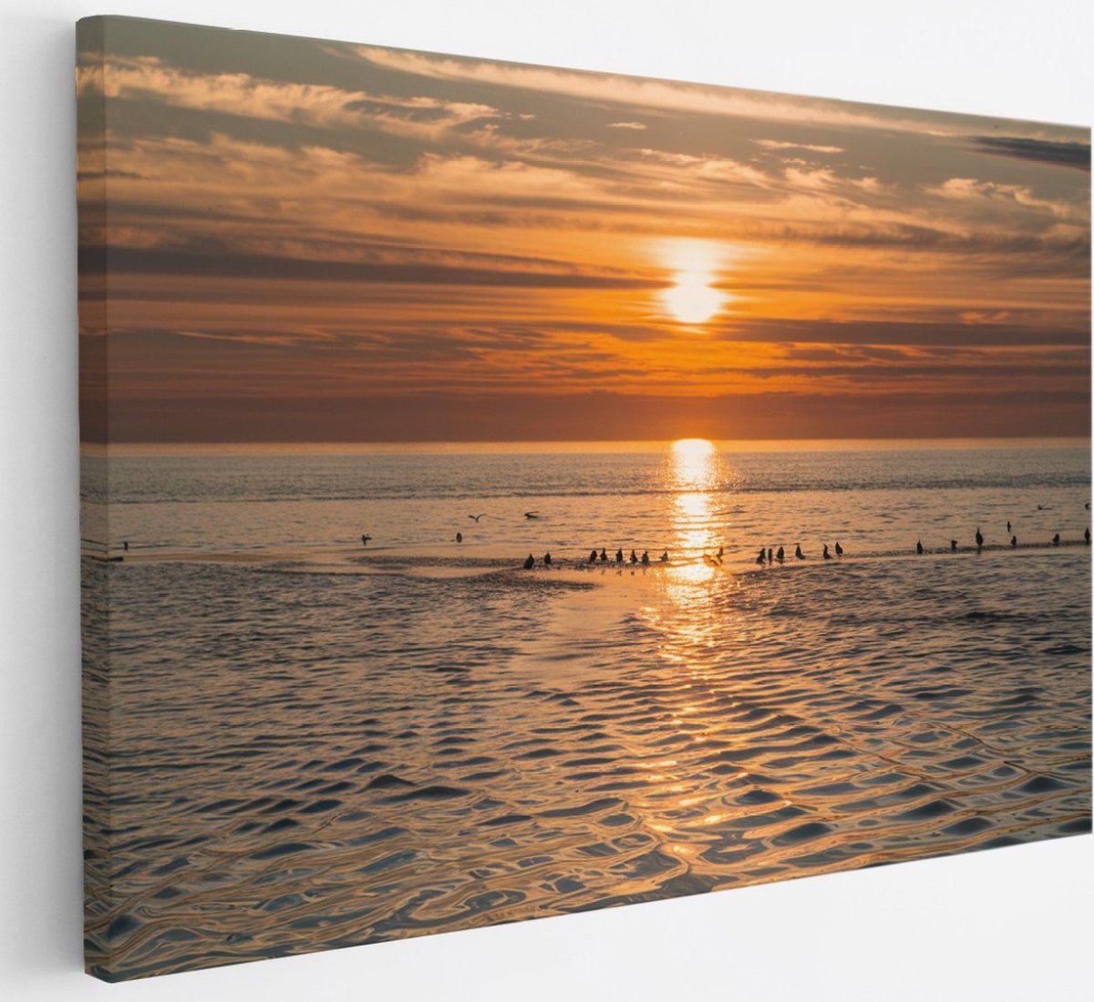 Saammp Canvas Schilderij - Vogels op een zandbank - Strand - Landschap - Natuur - 30x20 - Foto op canvas - Wanddecoratie - Muurdecoratie Woonkamer - Slaapkamer decoratie - Canvas Print Multicolor