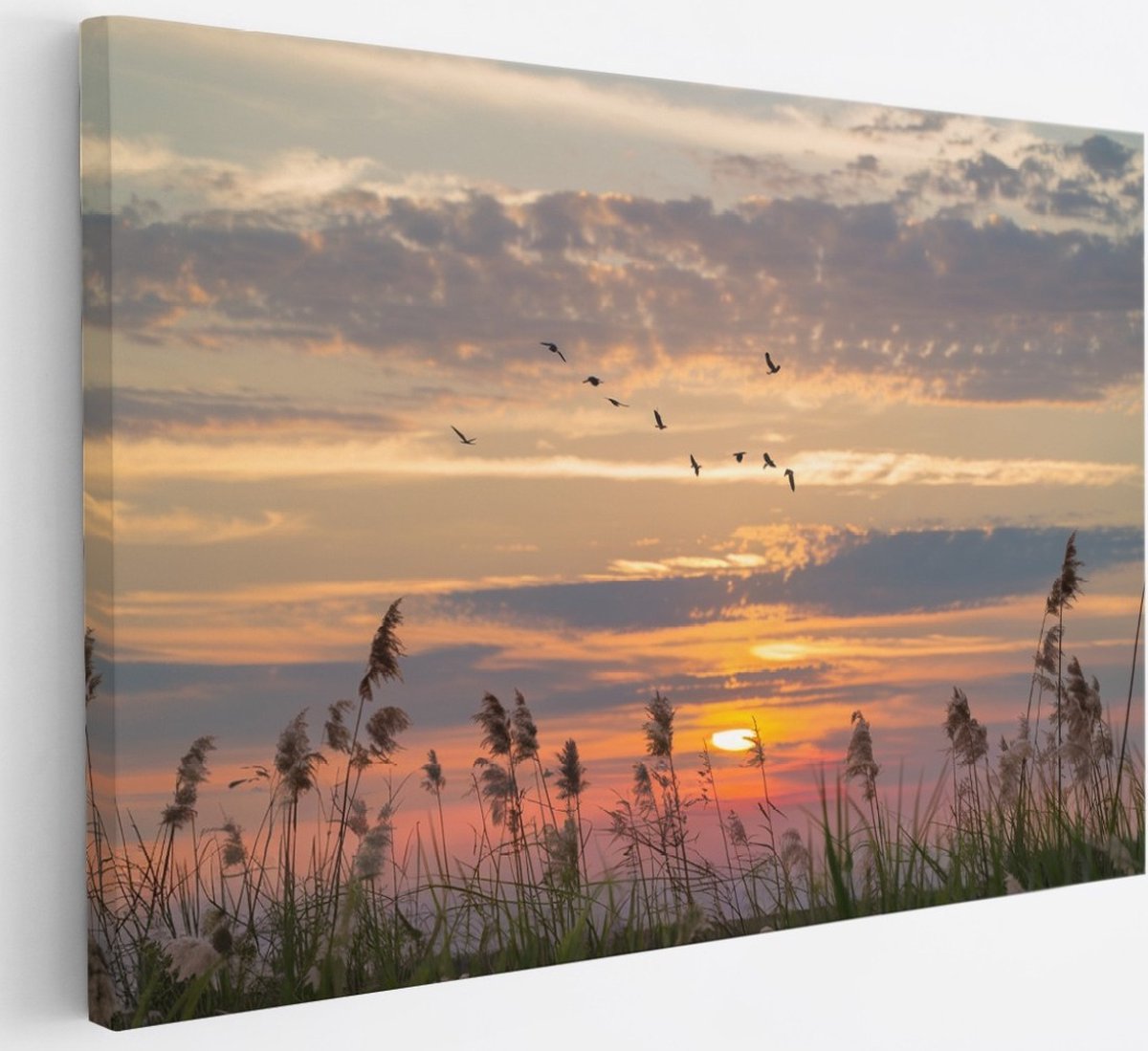 Saammp Canvas Schilderij - Nederland Tijdens zonsondergang - Zonsondergang - Landschap - Natuur - 30x20 - Foto op canvas - Wanddecoratie - Muurdecoratie Woonkamer - Slaapkamer decoratie - Canvas Print Multicolor