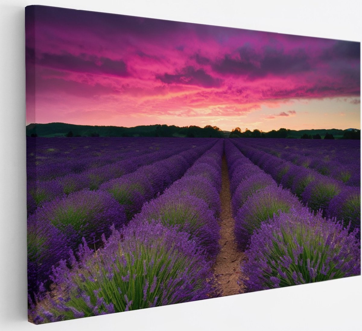 Saammp Canvas Schilderij - Lavendel met paarse lucht - Landschap - Natuur - 30x20 - Foto op canvas - Wanddecoratie - Muurdecoratie Woonkamer - Slaapkamer decoratie - Canvas Print Multicolor