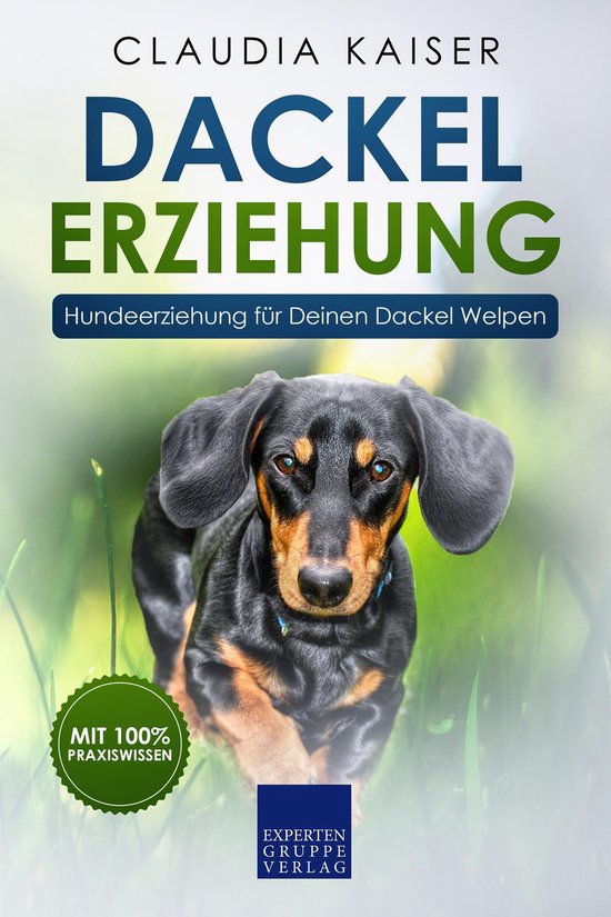 Dackel Erziehung - cover