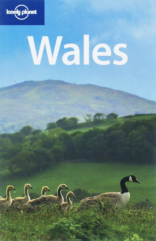 Lonely Planet Wales, met een kudde ganzen op een met gras begroeid heuvelachtig landschap.