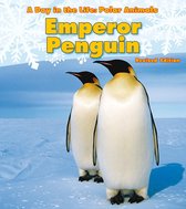 A Day in the Life: Polar Animals - Emperor Penguin
