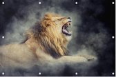 Grommende Leeuw in rook - Foto op Tuinposter - 225 x 150 cm