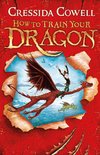 How to Train Your Dragon 1 - How to Train Your Dragon