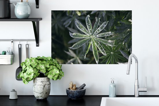 Sticker Muursticker Rosée précoce - Gouttes de rosée précoce sur feuilles - 60x40 cm - film adhésif autocollant - sticker mural repositionnable