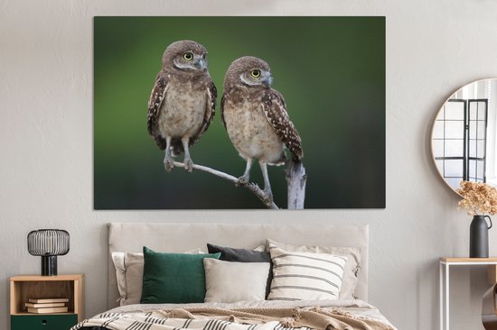 Tableau sur toile Deux hiboux des cavernes sur une branche - 150x100 cm - Décoration murale