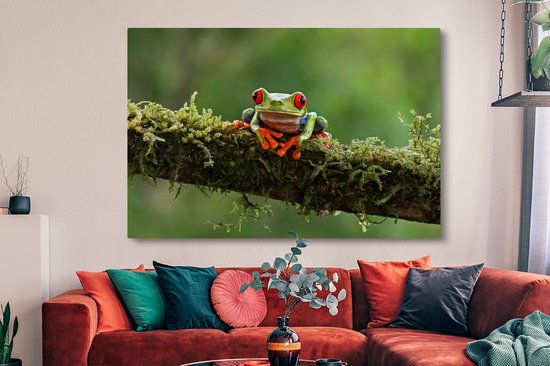 Grenouille d'arbre aux yeux rouges sur toile de branche couverte 2cm 150x100 cm - Impression photo sur toile (Décoration murale salon / chambre) / Peintures sur toile animaux sauvages