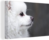 Canvas schilderij 180x120 cm - Wanddecoratie Hond kijkt in verte - Muurdecoratie woonkamer - Slaapkamer decoratie - Kamer accessoires - Schilderijen