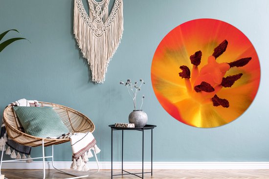 Un gros plan d'une tulp orange avec le pistil Wall cercle aluminium ⌀ 140 cm