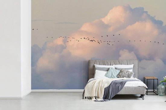 Volée d'oiseaux dans le ciel 600x400 cm