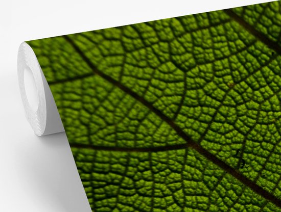 Papier peint photo peint photo vinyle - Veines des feuilles largeur 330 cm x hauteur 220 cm - Tirage photo sur papier peint (disponible en 7 tailles)