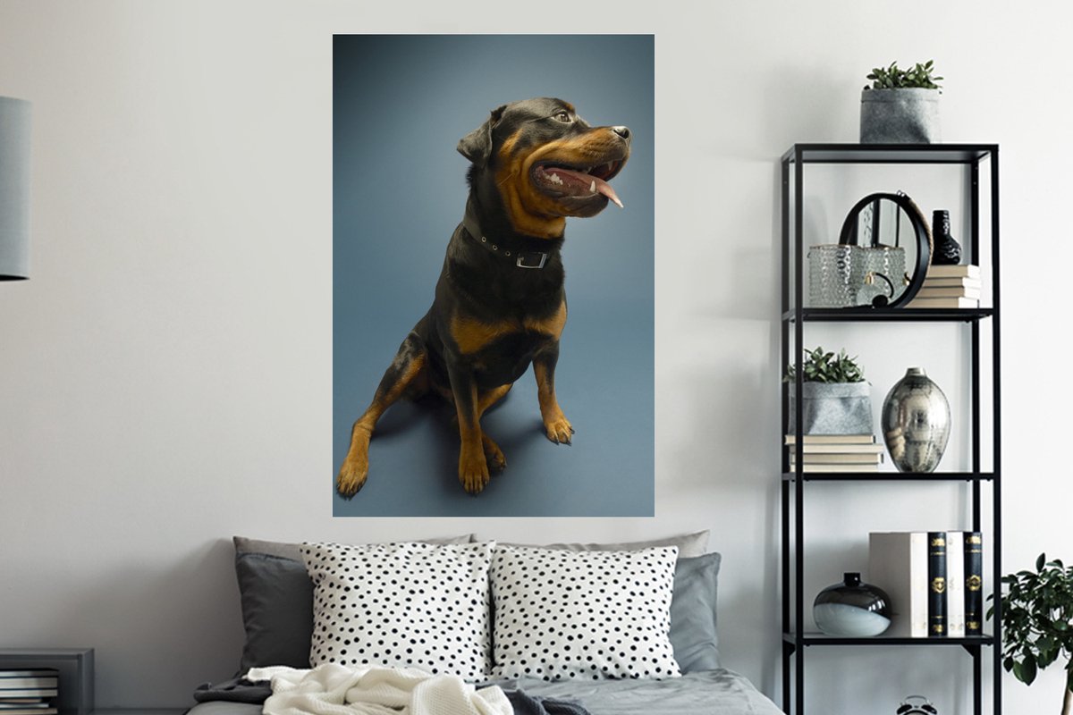 Blowjob foydalanuvchilarining shaxsiy fotoalbomlari