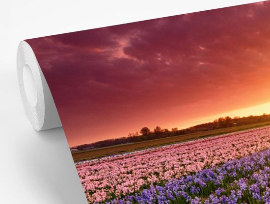 Papier peint photo peint vinyle - Jacinthes en paysage néerlandais largeur 330 cm x hauteur 220 cm - Tirage photo sur papier peint (disponible en 7 tailles)