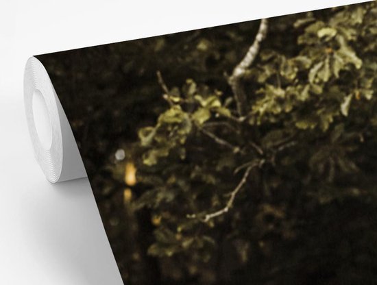 Papier peint - Papier peint photo Cerf - Nourriture - Herbe - Largeur 160 cm x hauteur 220 cm