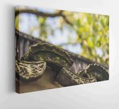 Moderne schilderijen - Horizontal - 4158643 - 50*40 Horizontal