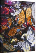 Palette van Kleurrijke Vlinders - Foto op Canvas - 75 x 100 cm