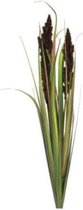 Medina Kunstplant Cortaderia Monica 89 Cm Zijde Groen