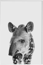 JUNIQE - Poster met kunststof lijst Tapir Classic -13x18 /Wit & Zwart
