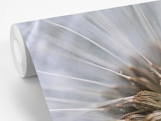 Papier peint photo peint vinyle - Il manque quelques graines de pissenlit largeur 525 cm x hauteur 350 cm - Tirage photo sur papier peint (disponible en 7 tailles)