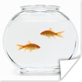Twee goudvissen in een vissenkom poster papier 50x50 cm - Foto print op Poster (wanddecoratie woonkamer / slaapkamer)