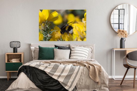 Abeille sur une fleur de balai 120x80 cm