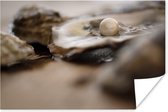 Parel in de schelp van een oester poster 120x80 cm - Foto print op Poster (wanddecoratie woonkamer / slaapkamer) / Strand Poster
