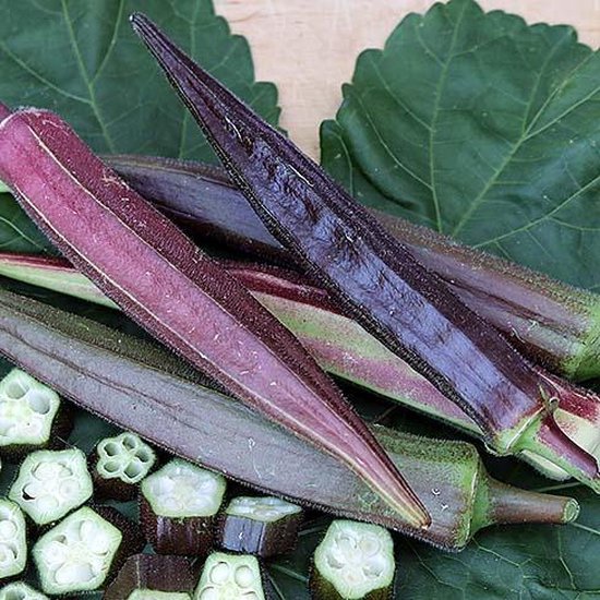 Okra zaden Burgundy bol