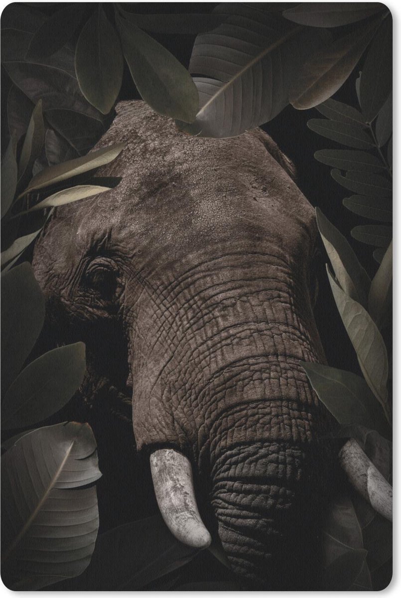 Olifant - Jungle - Planten
